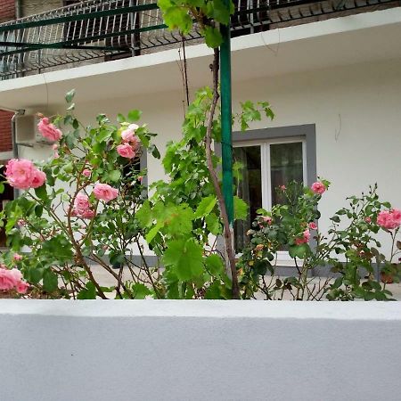 Apartmani Alma Skradin Zewnętrze zdjęcie